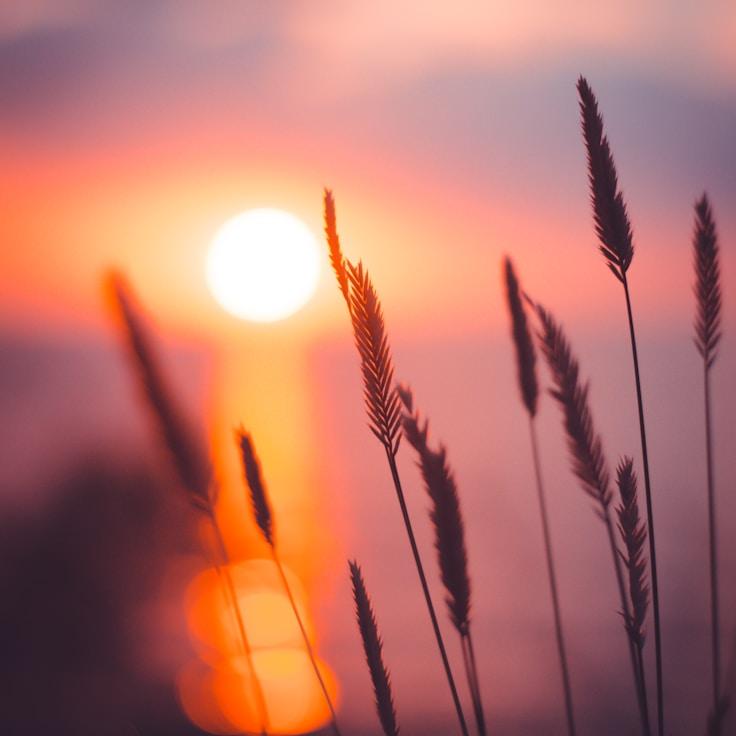 Low-impact nature route